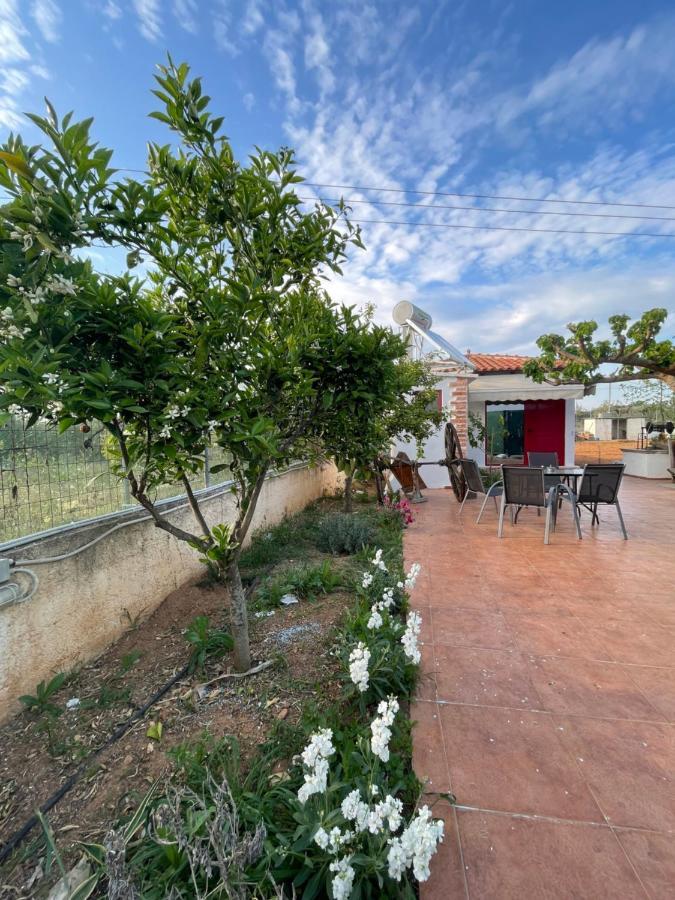 Markópoulon Country Lux Apartment Near Airport מראה חיצוני תמונה